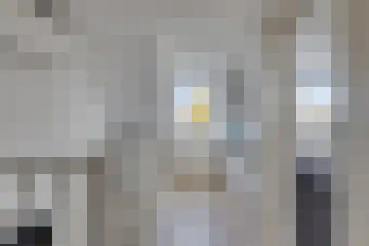 de Ververt 1003 Wijchen thumbnail 23