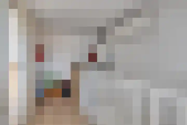 de Ververt 1003 Wijchen thumbnail 24