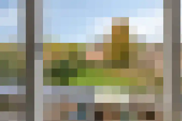 de Ververt 1003 Wijchen thumbnail 27