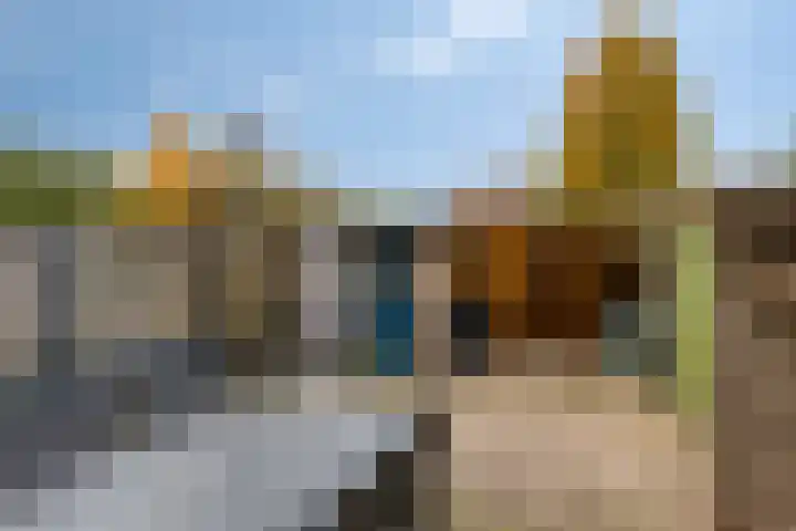 de Ververt 1003 Wijchen thumbnail 28