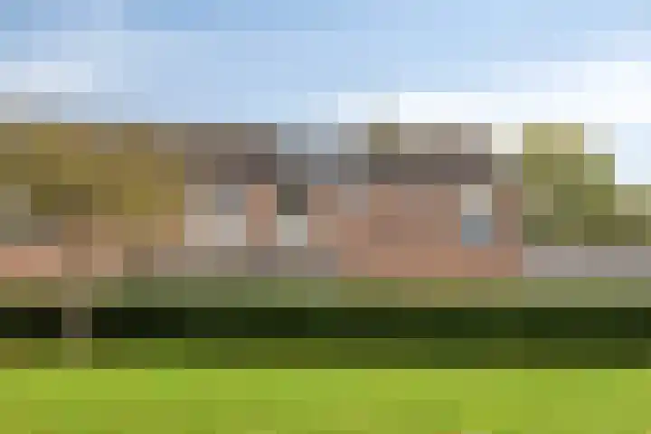 de Ververt 1003 Wijchen thumbnail 31
