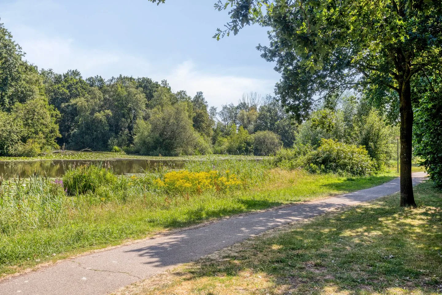 de Ververt 1019 Wijchen thumbnail 18