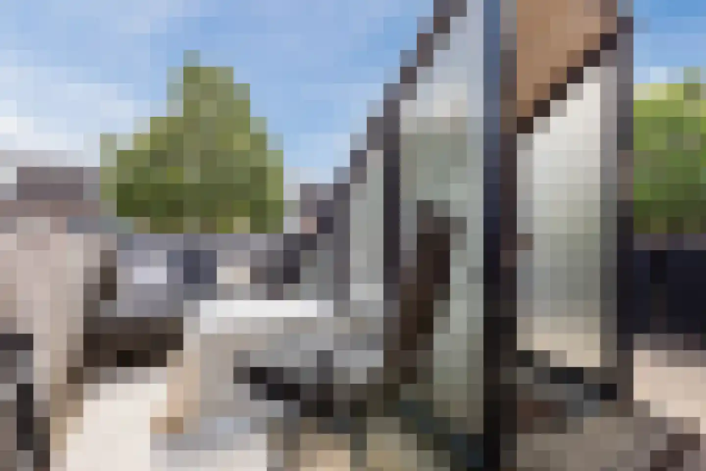 de Ververt 1046 Wijchen thumbnail 18