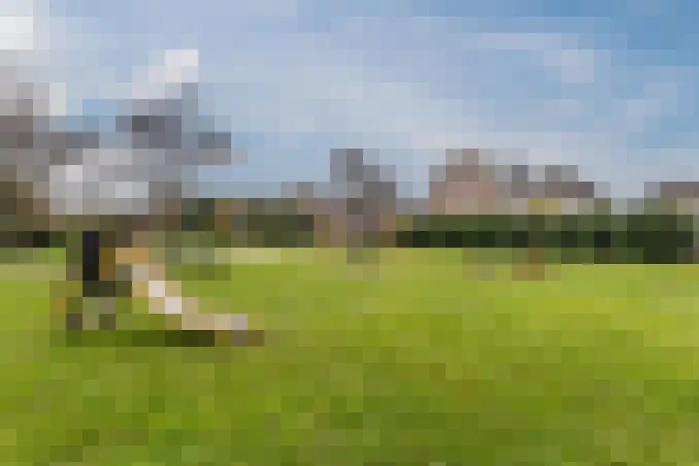 de Ververt 1046 Wijchen thumbnail 21