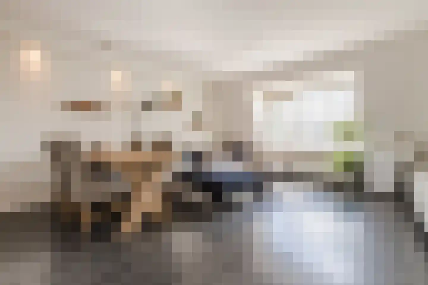 de Ververt 1046 Wijchen thumbnail 6