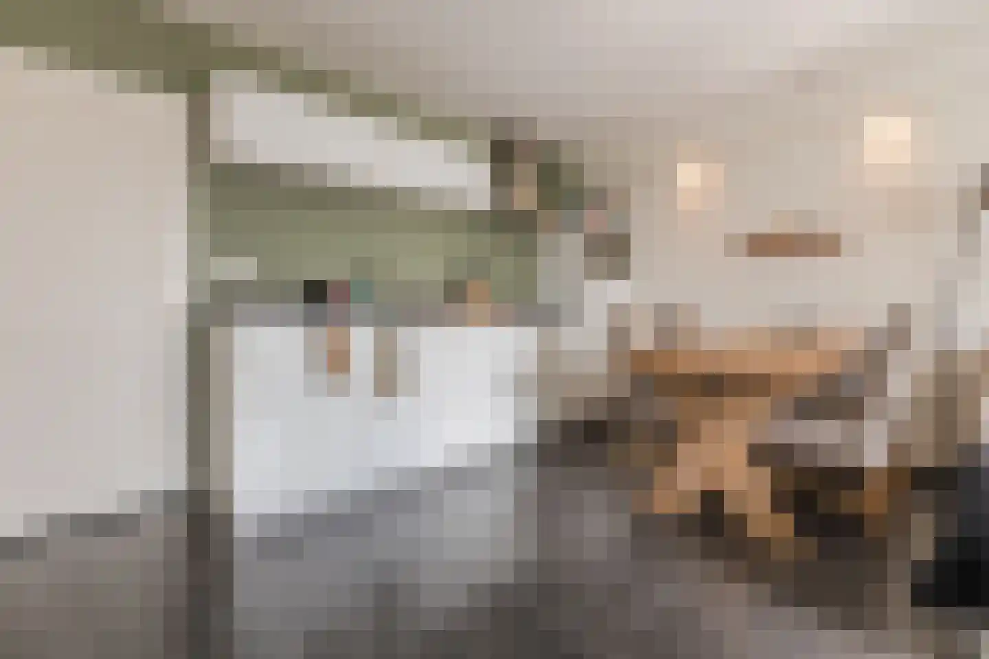 de Ververt 1046 Wijchen thumbnail 7