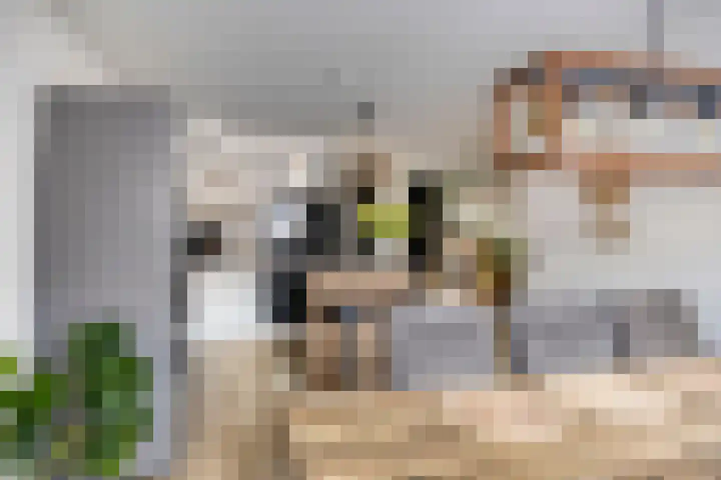 de Ververt 1056 Wijchen thumbnail 15