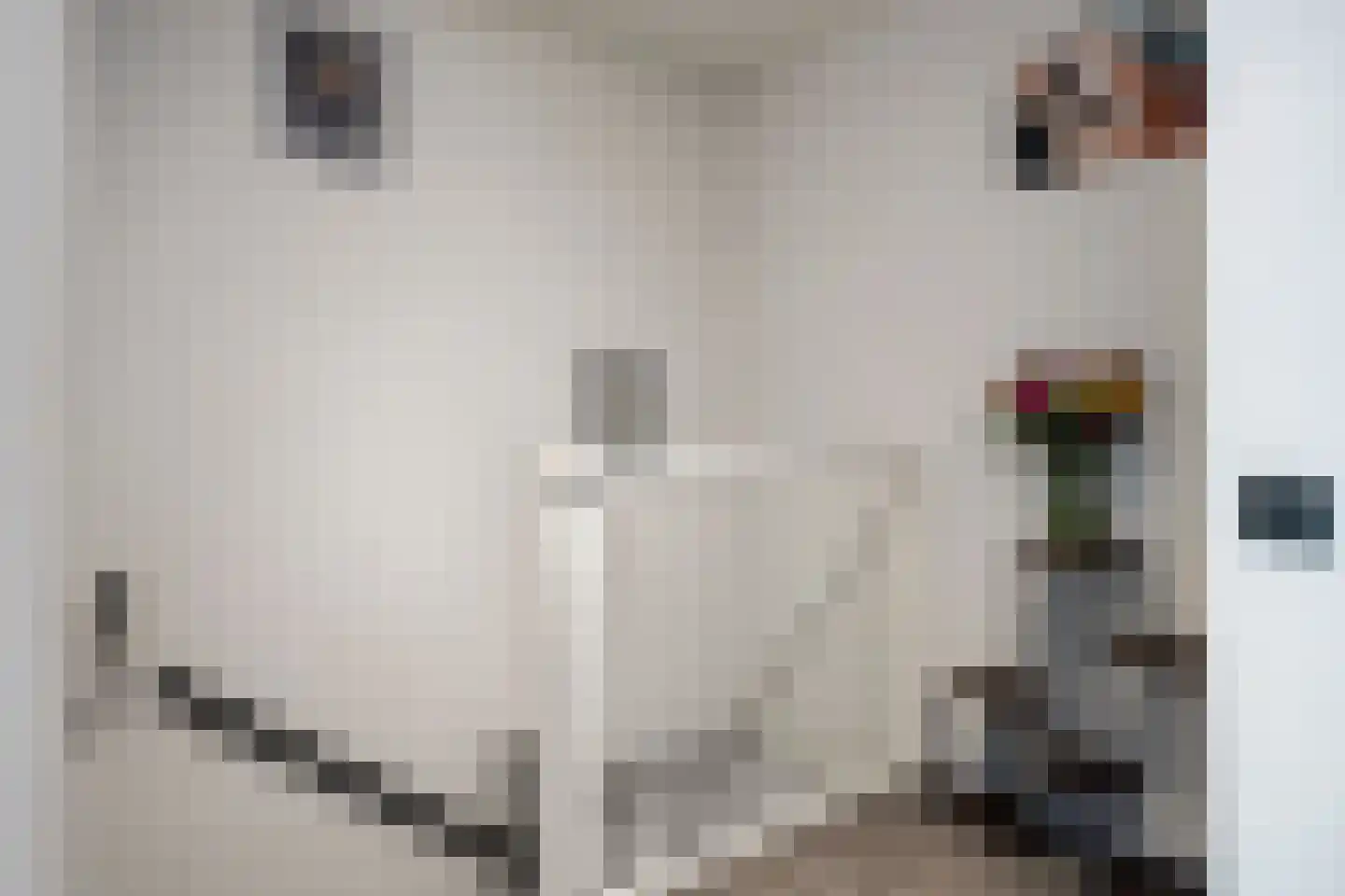de Ververt 1056 Wijchen thumbnail 20