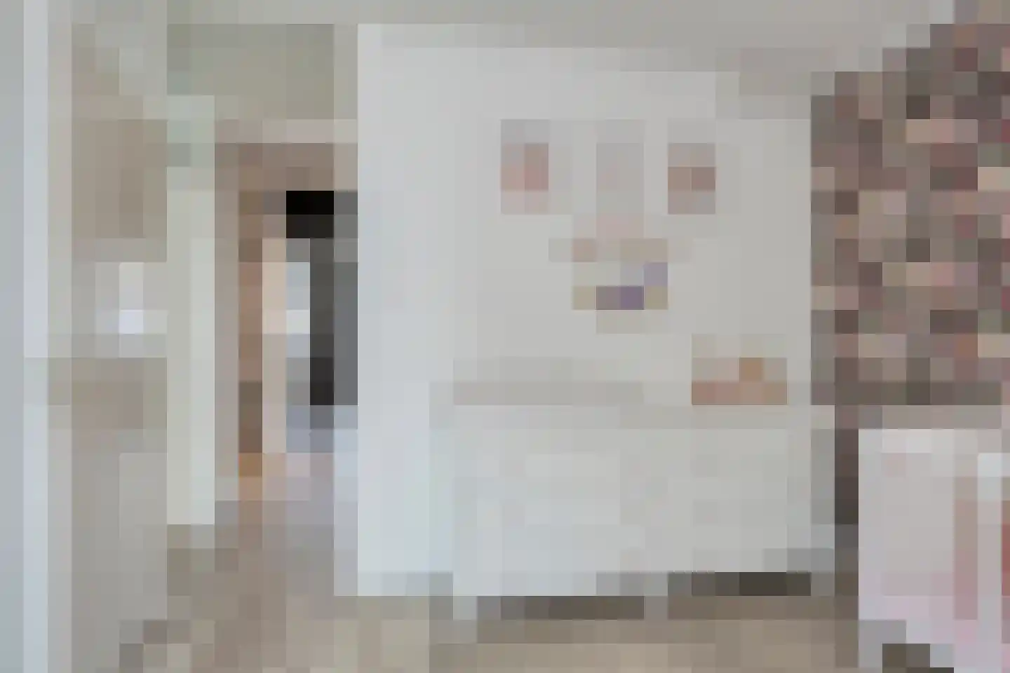 de Ververt 1056 Wijchen thumbnail 27