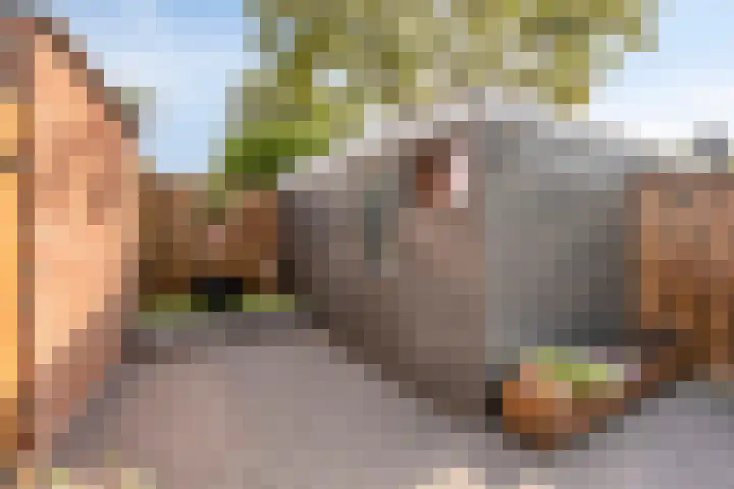 de Ververt 1056 Wijchen thumbnail 33