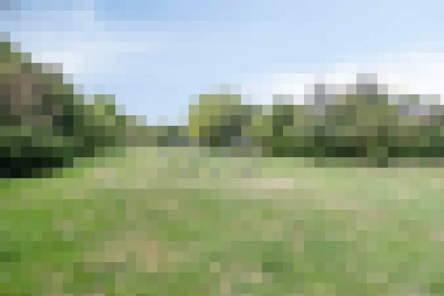 de Ververt 1056 Wijchen thumbnail 35