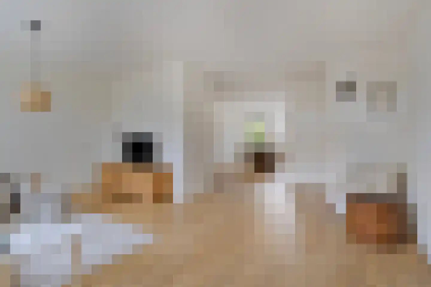 de Ververt 1105 Wijchen thumbnail 11