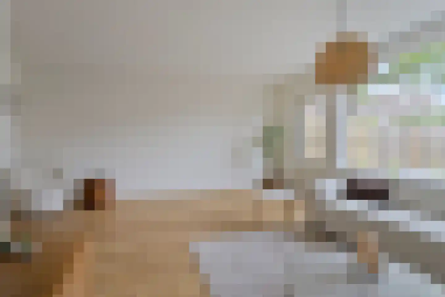 de Ververt 1105 Wijchen thumbnail 12