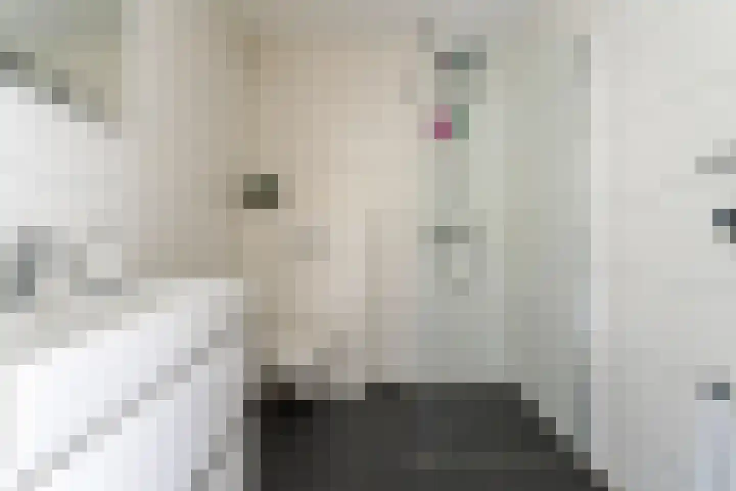 de Ververt 1105 Wijchen thumbnail 22