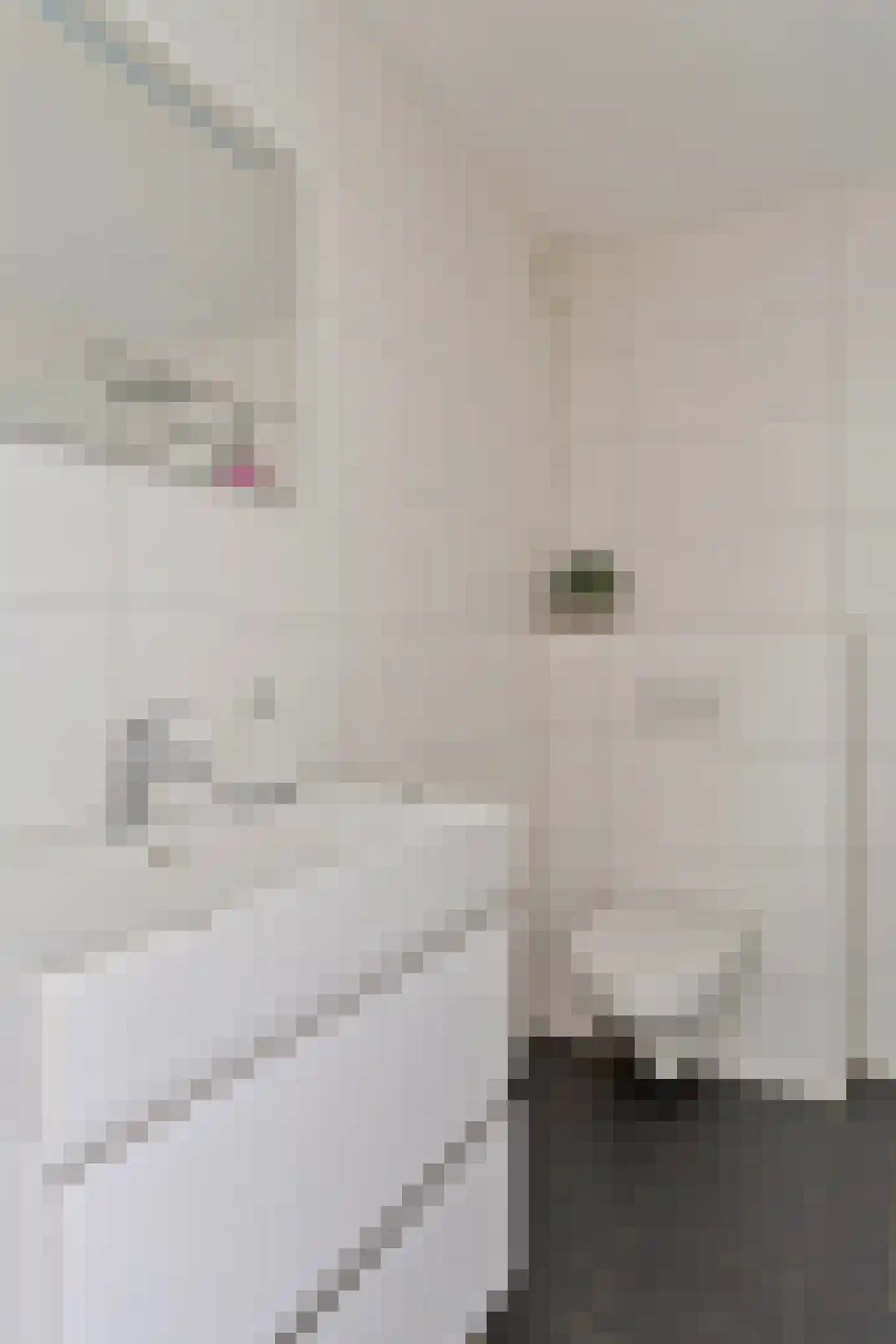 de Ververt 1105 Wijchen thumbnail 23