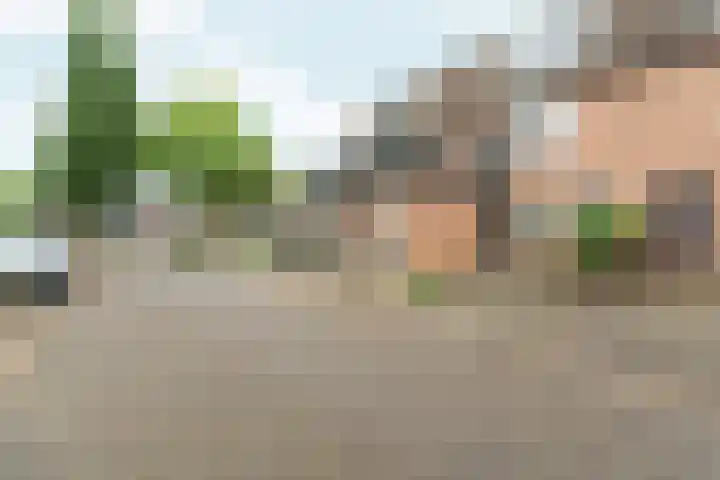 de Ververt 1107 Wijchen thumbnail 23