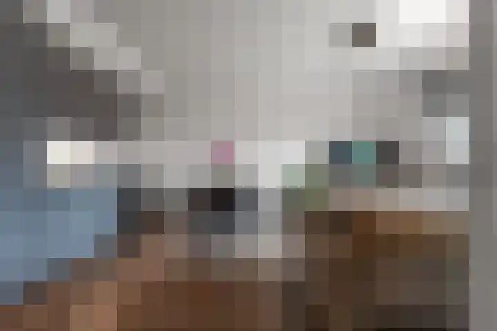 de Ververt 1107 Wijchen thumbnail 6
