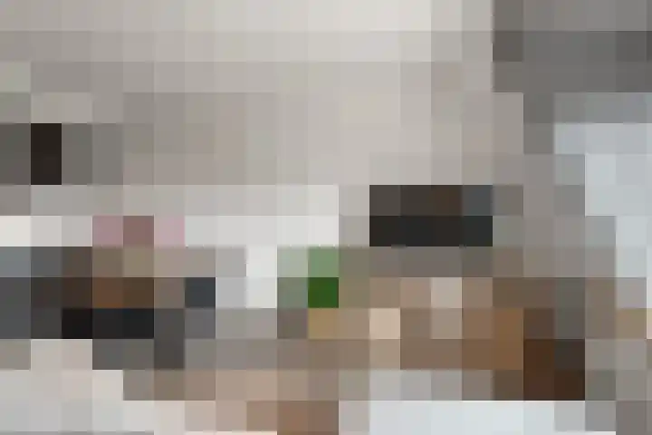 de Ververt 1107 Wijchen thumbnail 7