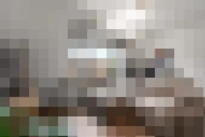 de Ververt 1107 Wijchen thumbnail 9