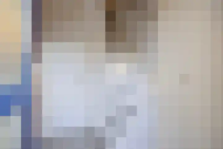 de Ververt 1135 Wijchen thumbnail 11