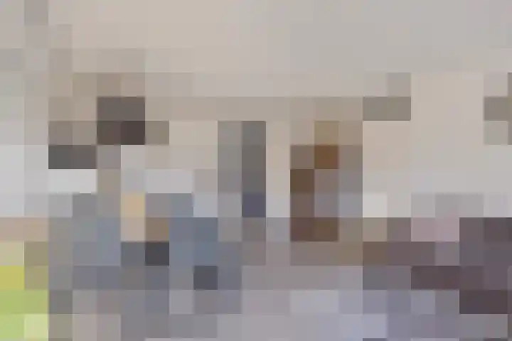 de Ververt 1135 Wijchen thumbnail 17