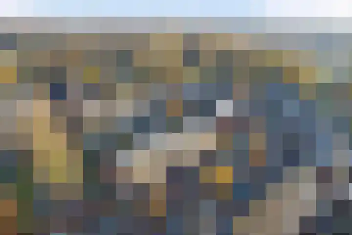 de Ververt 1135 Wijchen thumbnail 26