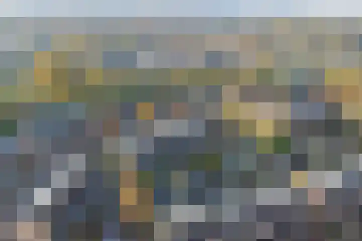de Ververt 1135 Wijchen thumbnail 27