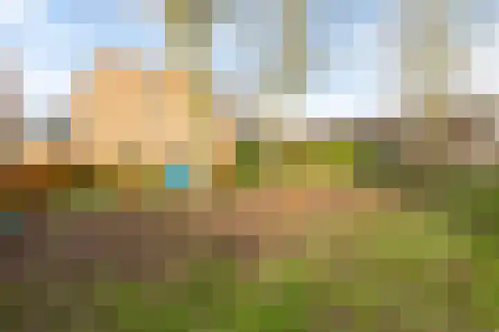 de Ververt 1135 Wijchen thumbnail 28