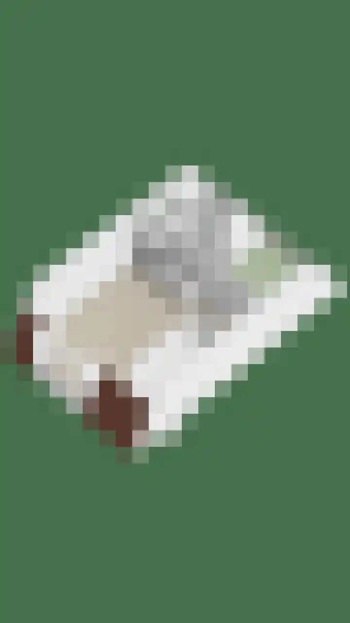 de Ververt 1135 Wijchen thumbnail 32