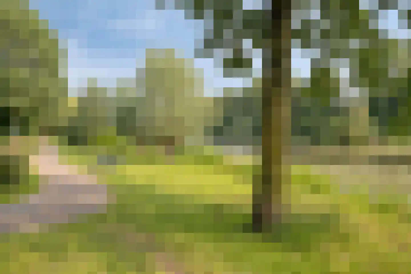 de Ververt 1159 Wijchen thumbnail 24