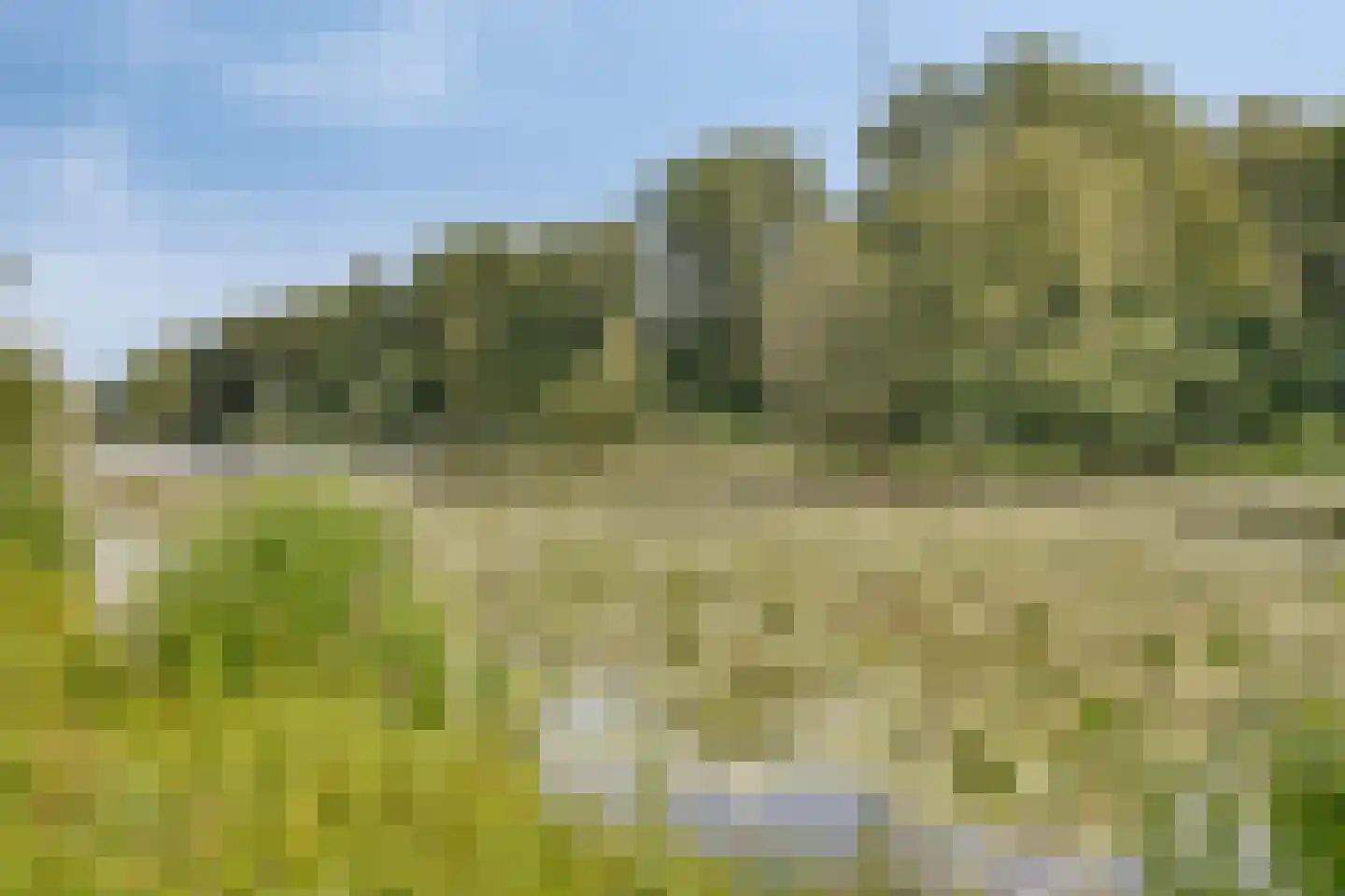 de Ververt 1159 Wijchen thumbnail 25