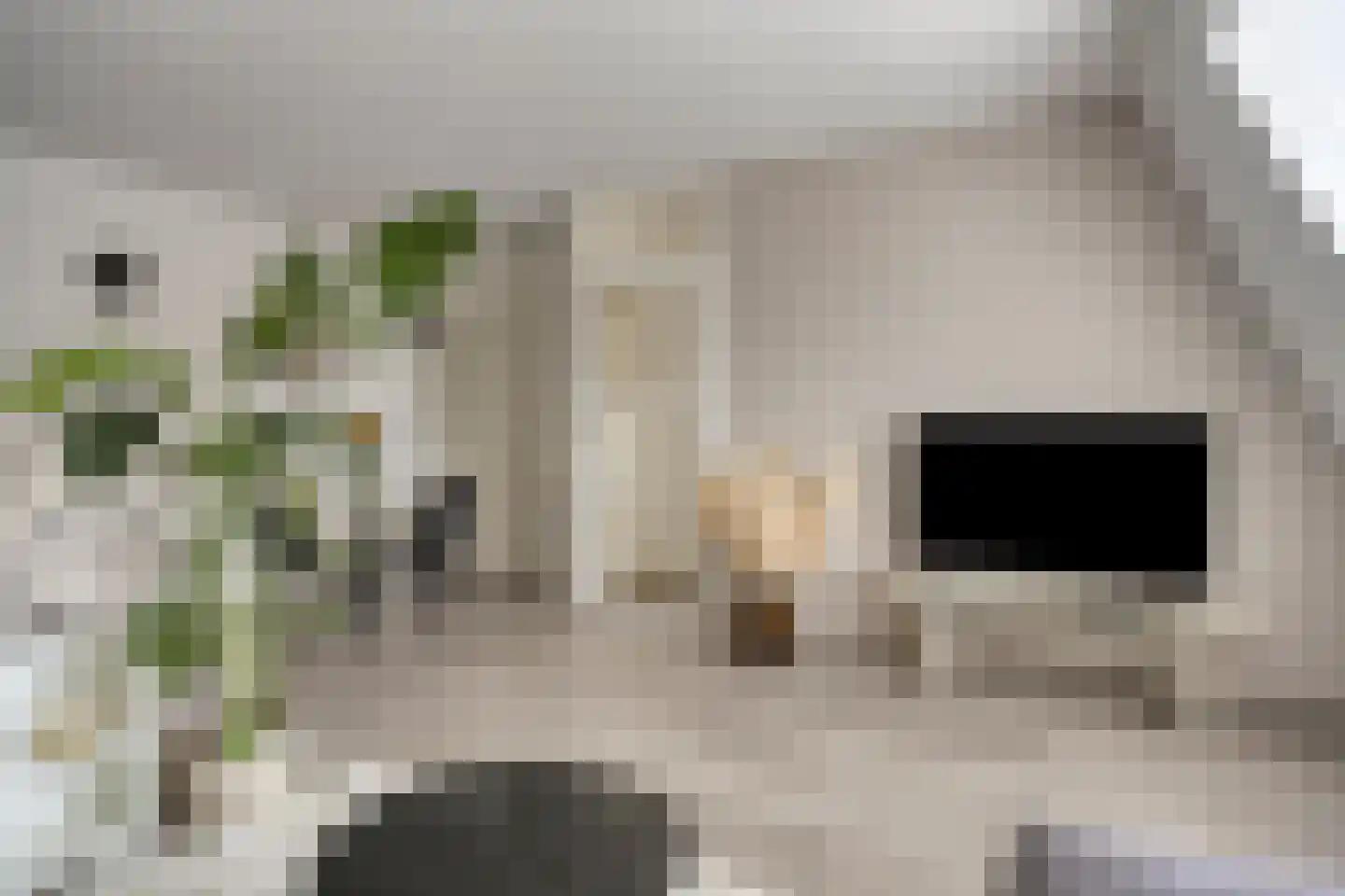 de Ververt 1159 Wijchen thumbnail 4