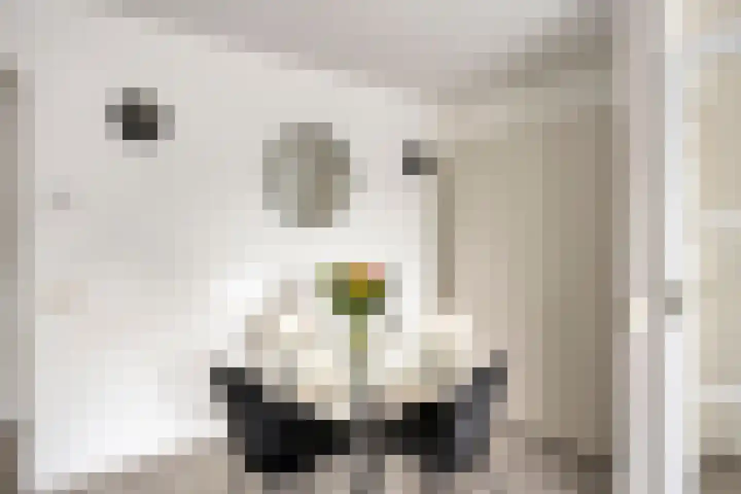 de Ververt 1159 Wijchen thumbnail 6