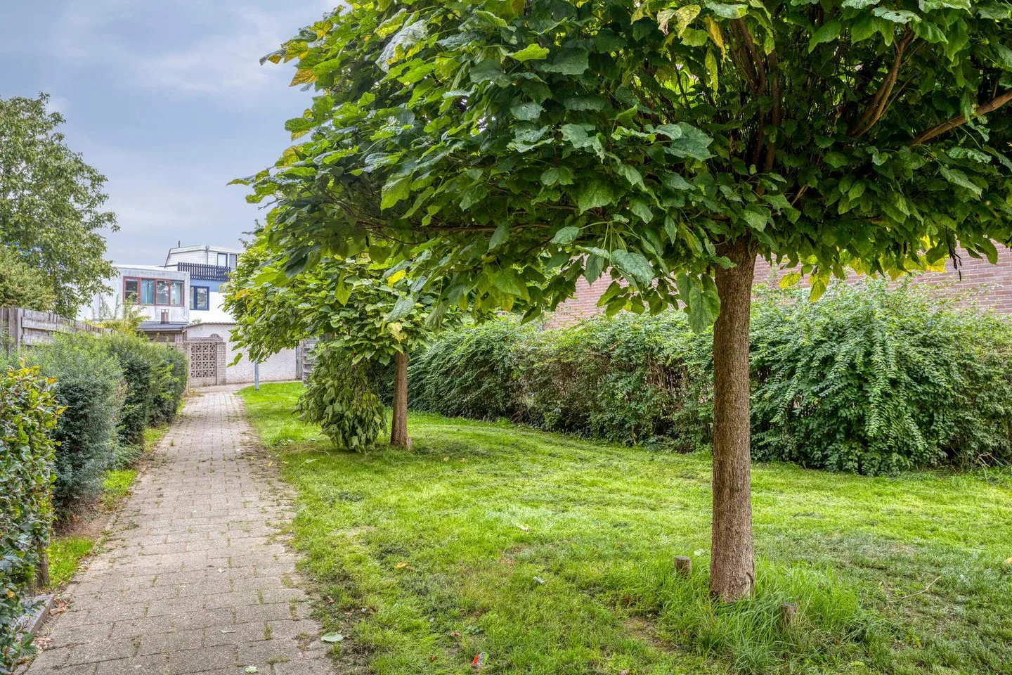 de Ververt 1204 Wijchen thumbnail 28