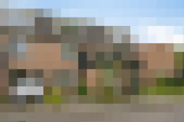 de Ververt 1208 Wijchen thumbnail 7
