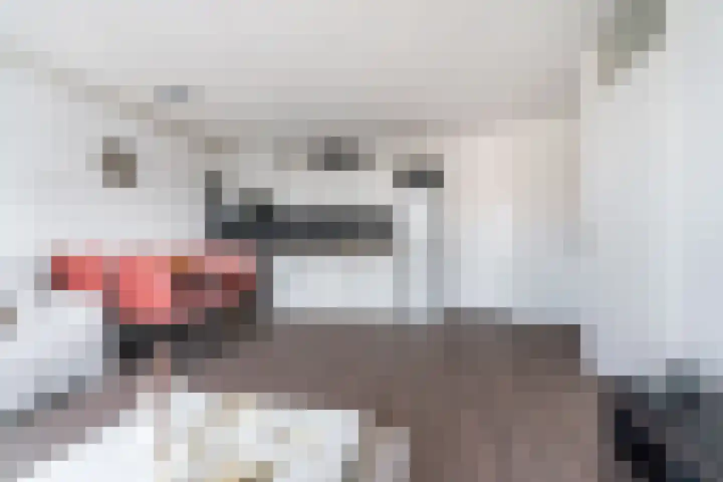 de Ververt 1211 Wijchen thumbnail 14