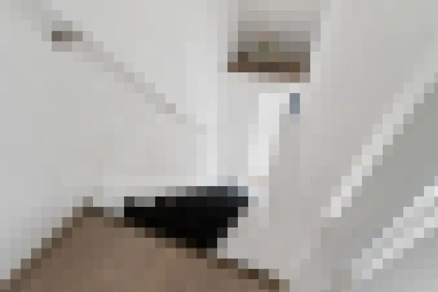 de Ververt 1211 Wijchen thumbnail 22