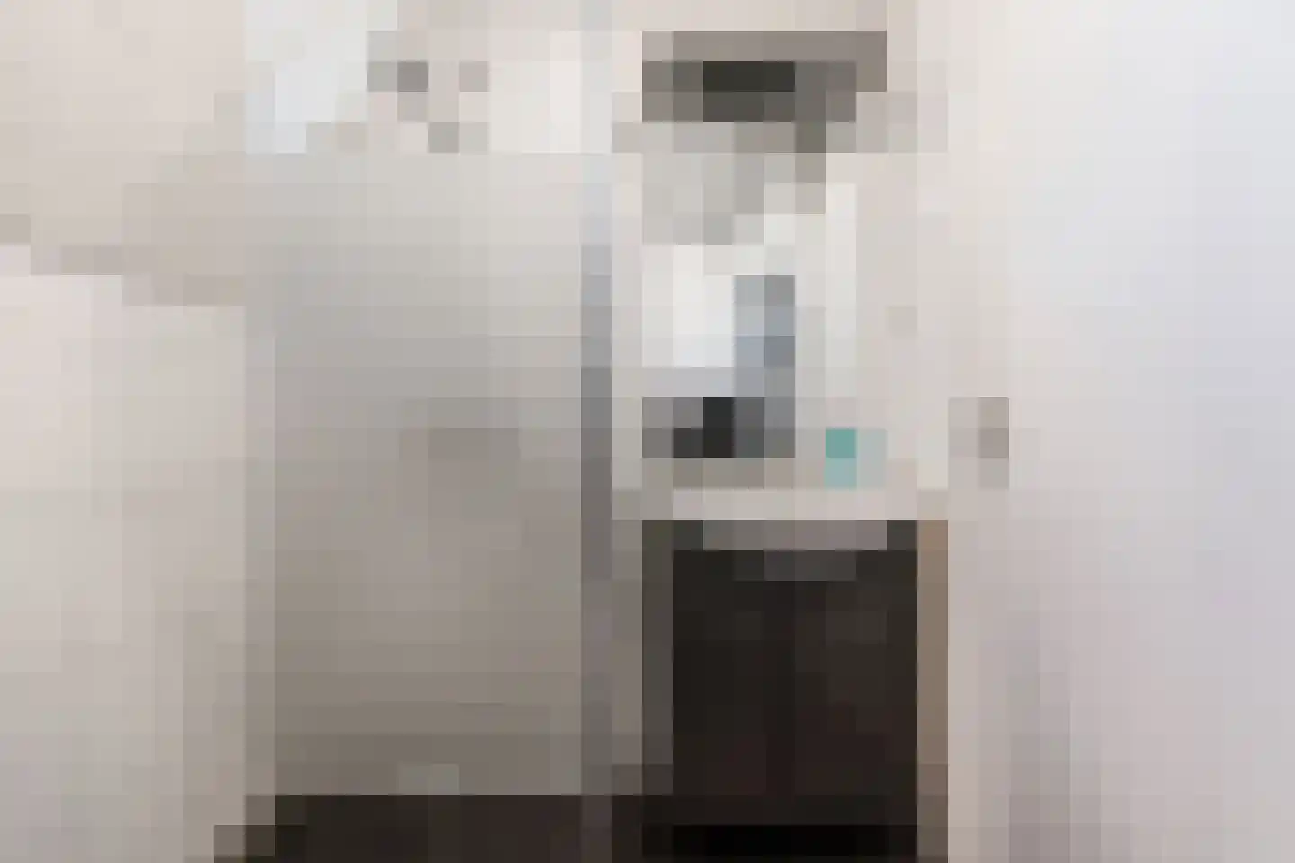 de Ververt 1211 Wijchen thumbnail 28