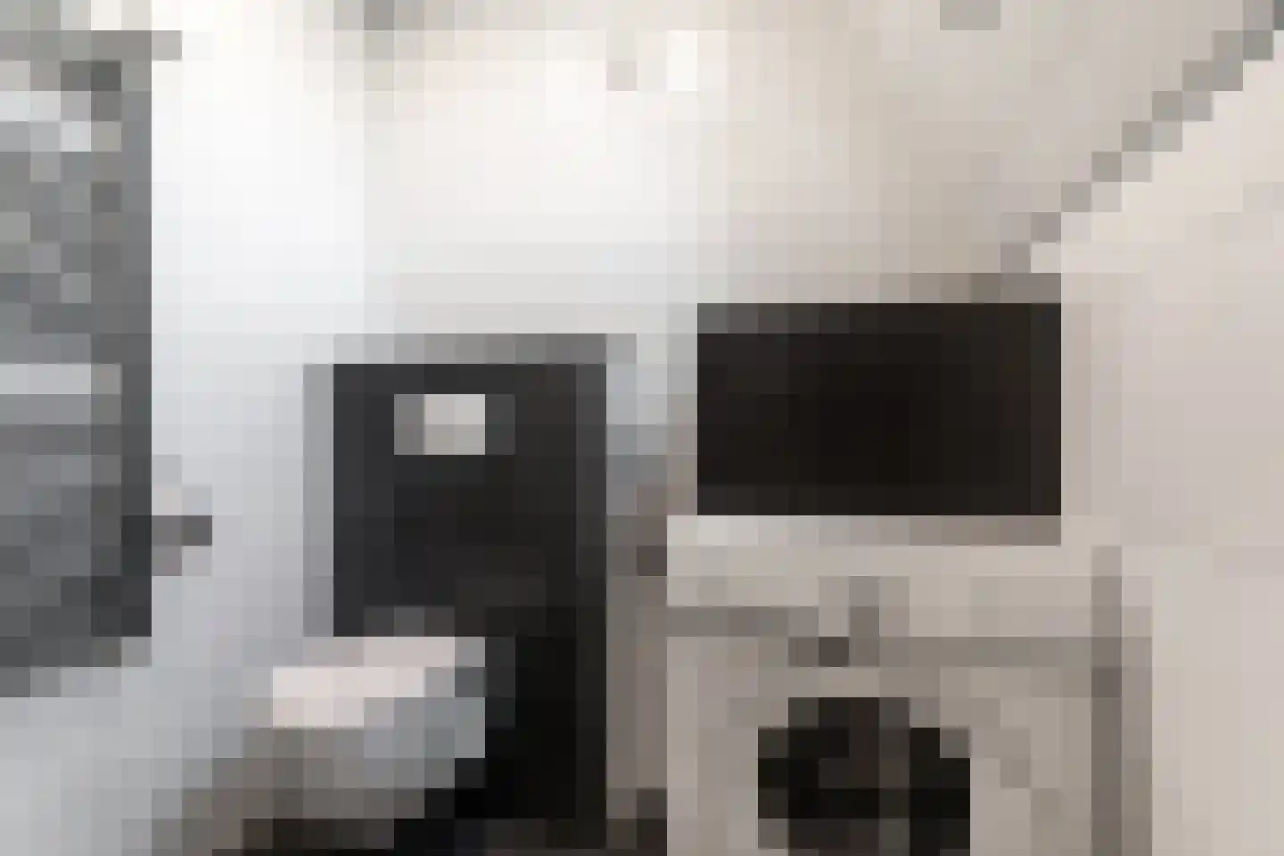 de Ververt 1211 Wijchen thumbnail 29