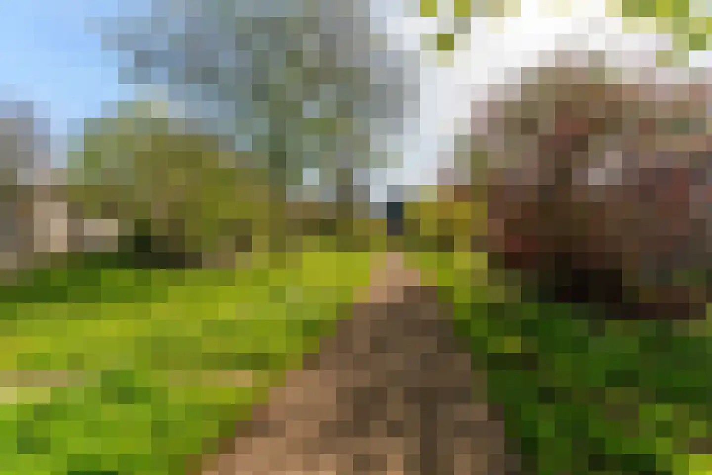de Ververt 1211 Wijchen thumbnail 35