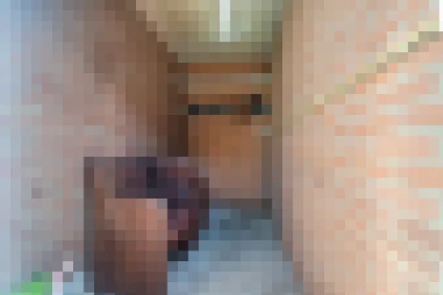 de Ververt 1211 Wijchen thumbnail 37