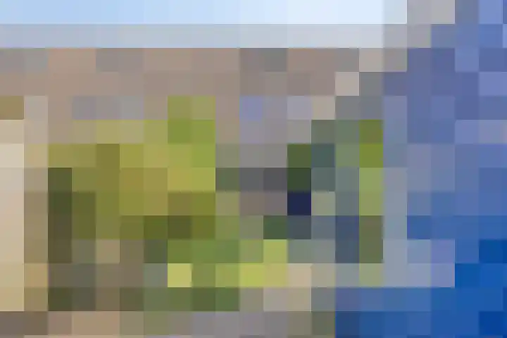 de Ververt 1226 Wijchen thumbnail 32