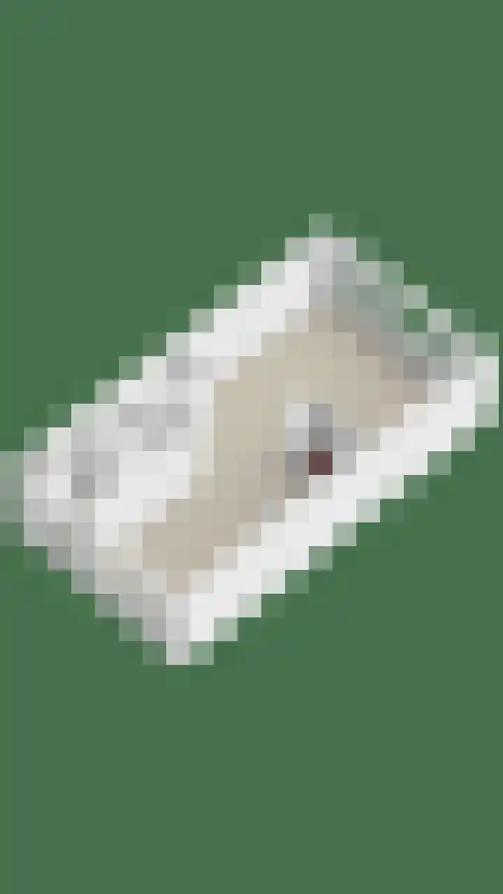 de Ververt 1226 Wijchen thumbnail 38