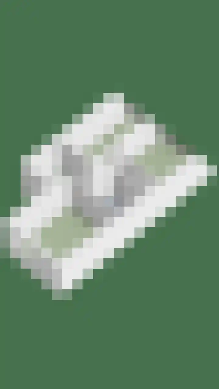de Ververt 1226 Wijchen thumbnail 39