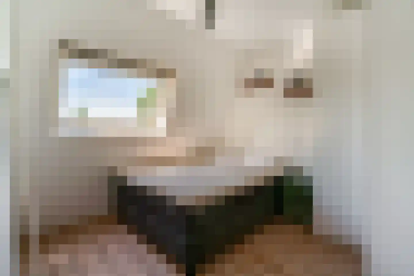 de Ververt 1264 Wijchen thumbnail 11