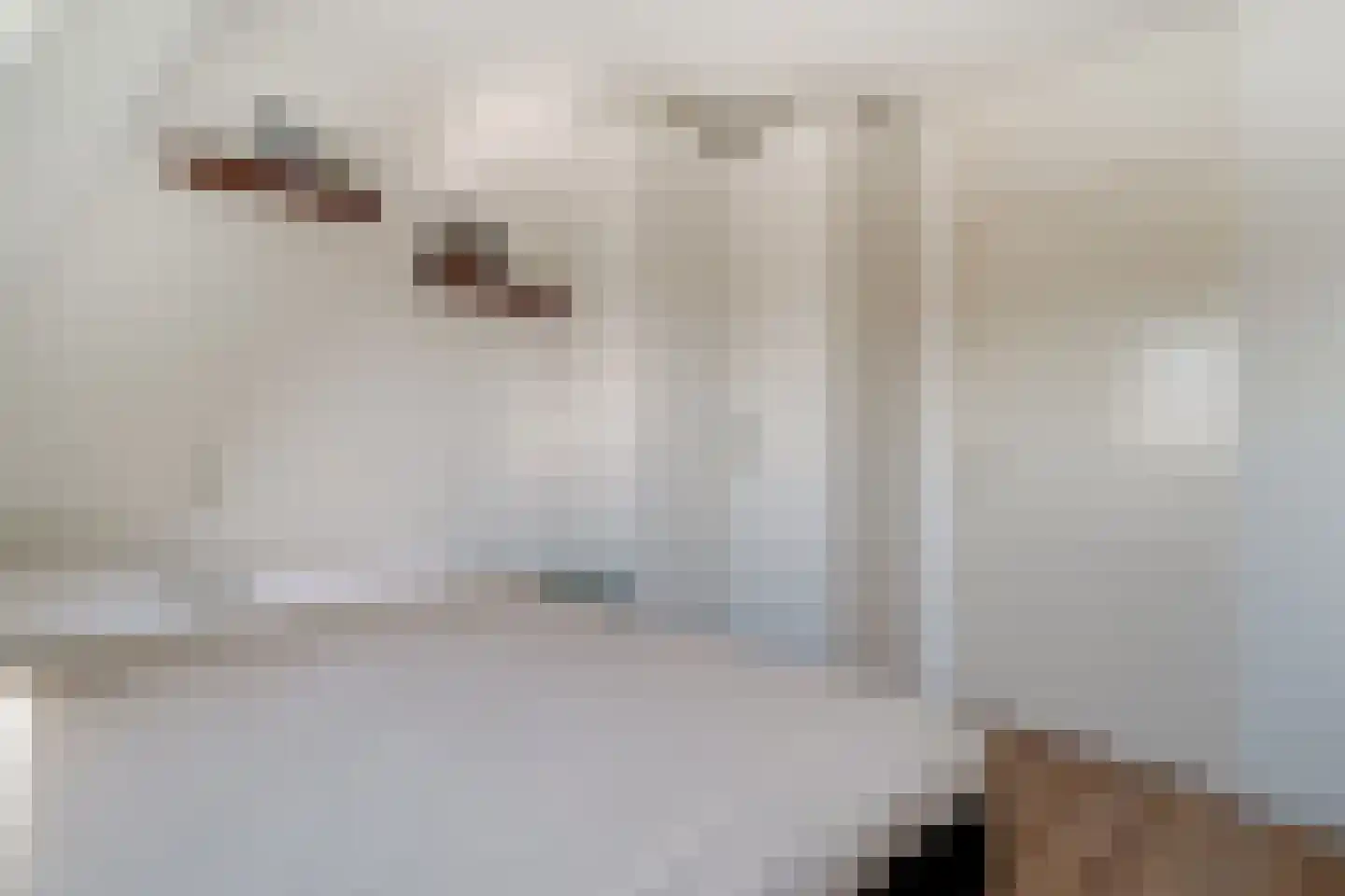 de Ververt 1264 Wijchen thumbnail 12