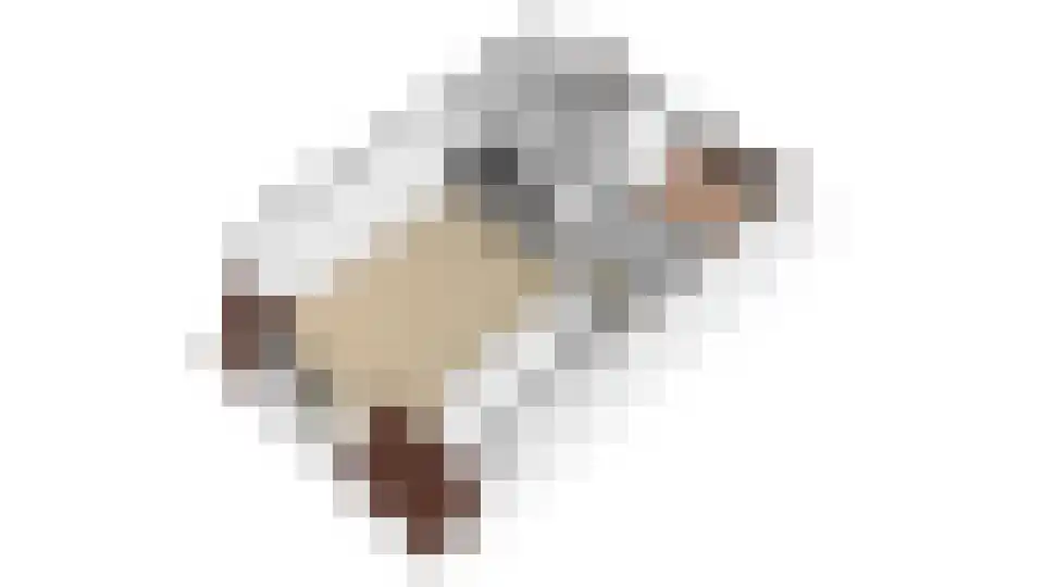 de Ververt 1264 Wijchen thumbnail 28