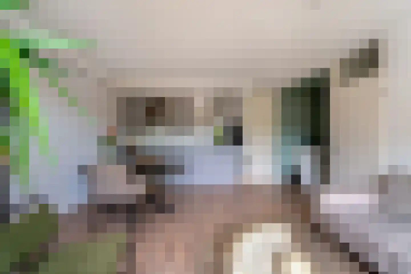 de Ververt 1264 Wijchen thumbnail 7