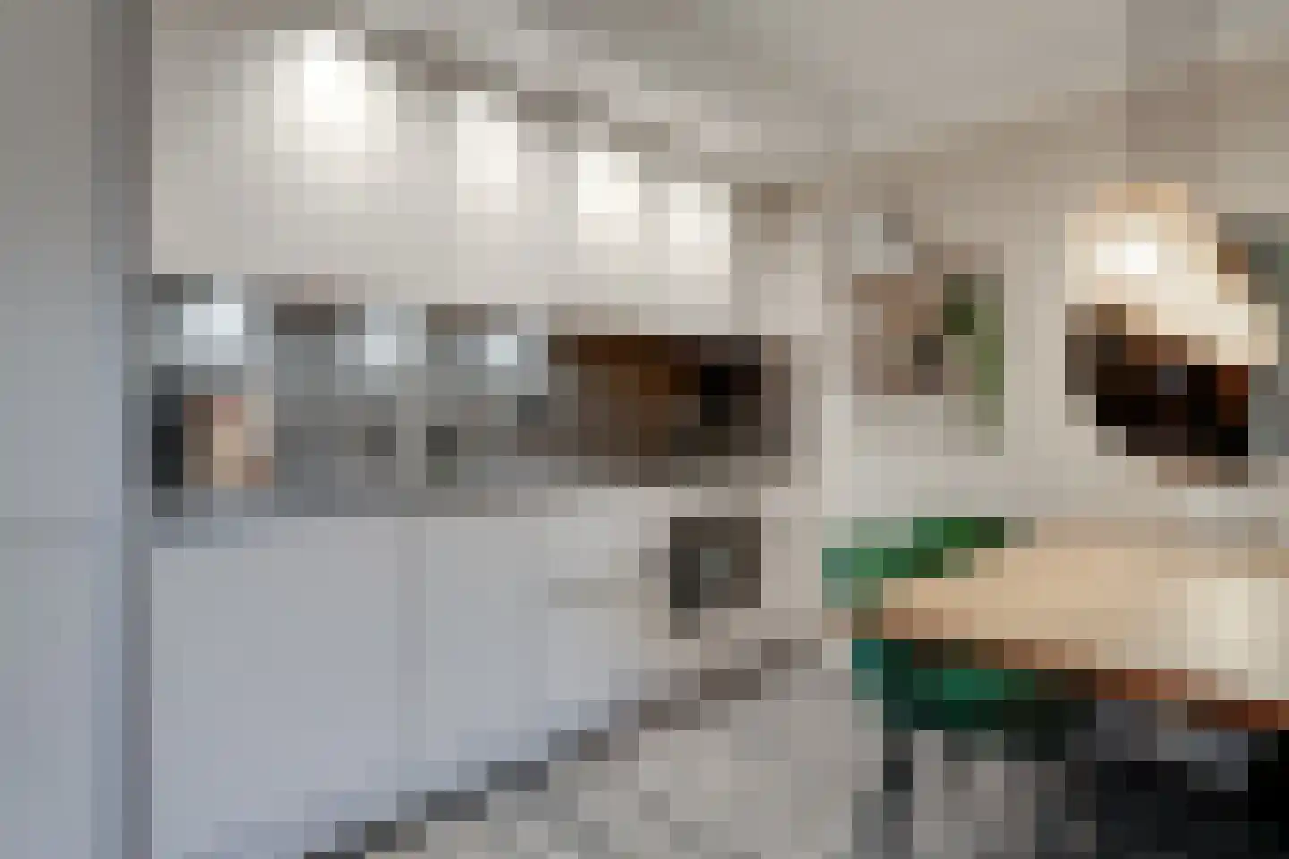 de Ververt 1268 Wijchen thumbnail 11