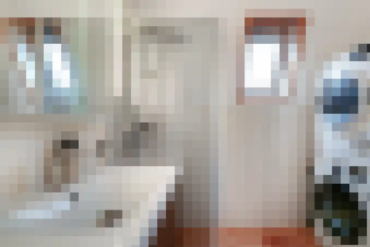 de Ververt 1268 Wijchen thumbnail 13